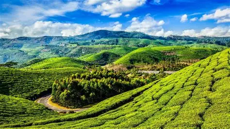 KERALA – GOD’S OWN COUNTRY